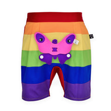 Load image into Gallery viewer, 3D SET - Rainbow short pants with 3D Toy